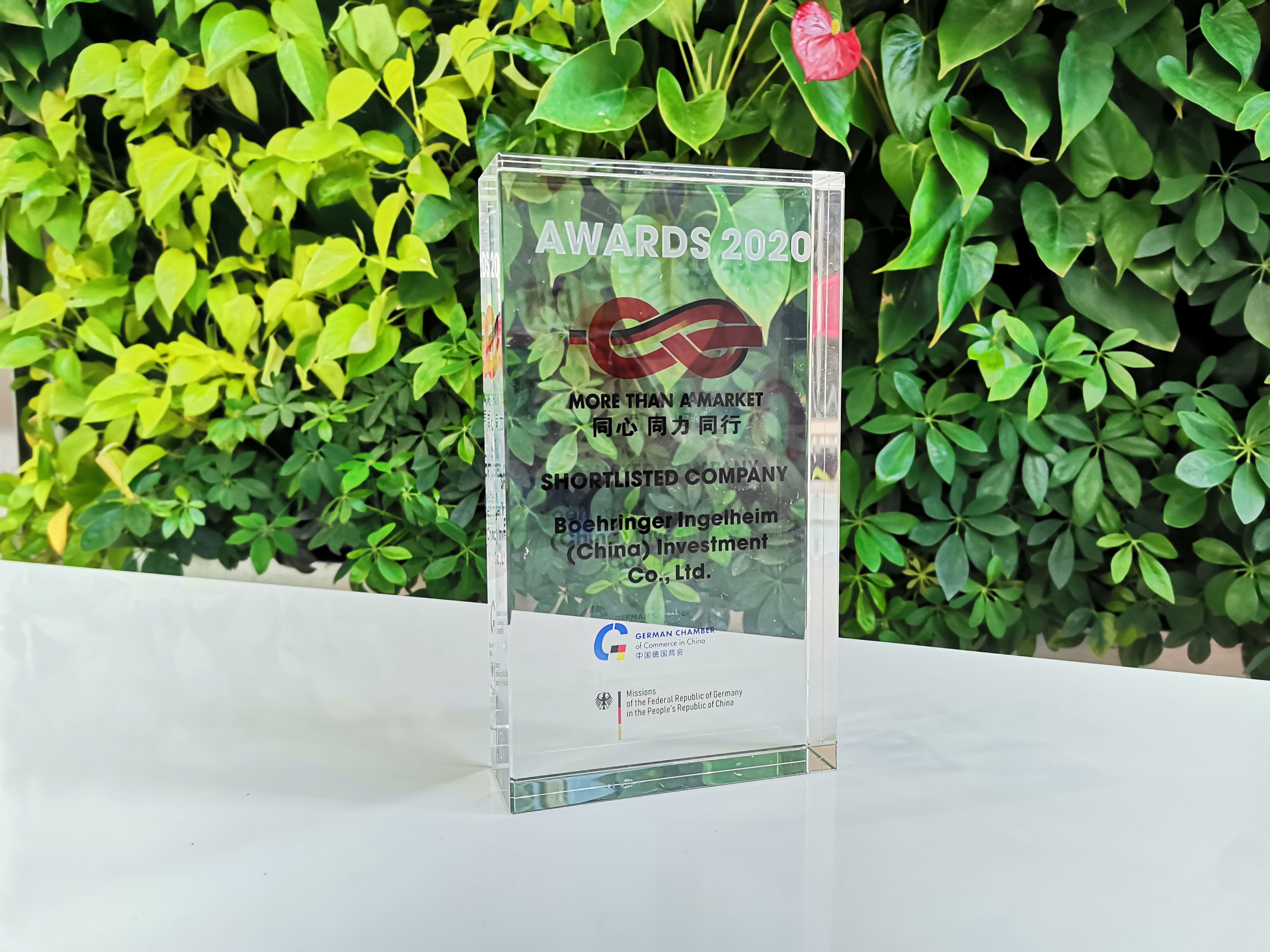 中國:抗擊非洲豬瘟的生物安全 China More than a Market Award.jpg