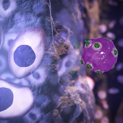 stem cell tile