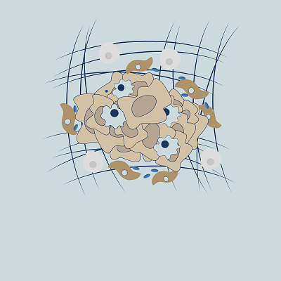 stromal-biology-card