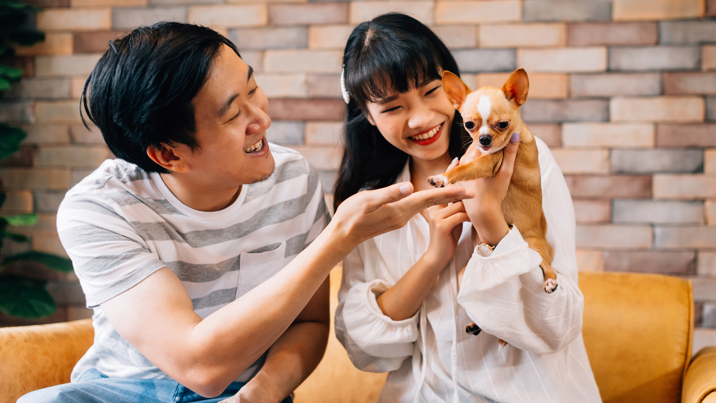 AdobeStock AdobeStock