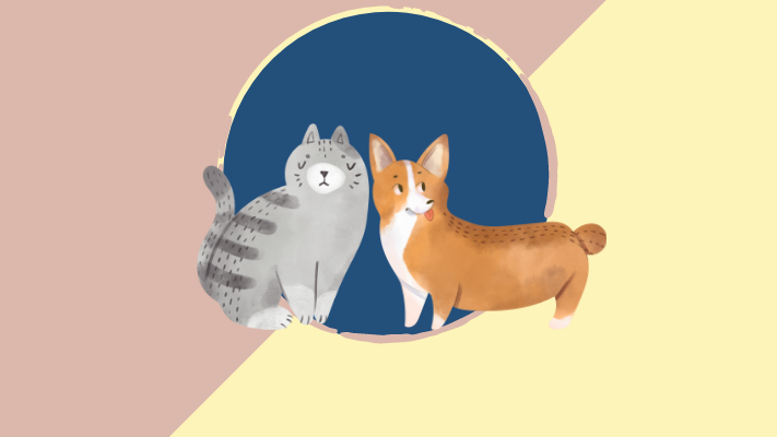 Pet_obesity_tile Pet_obesity_tile