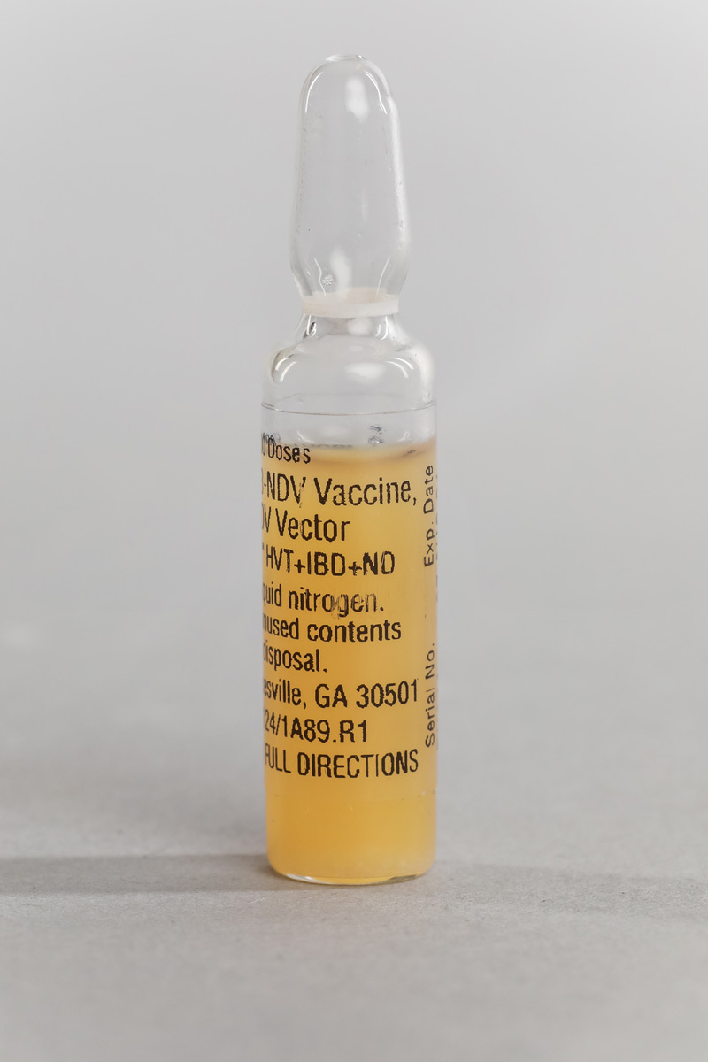 vaxxitek_ampule
