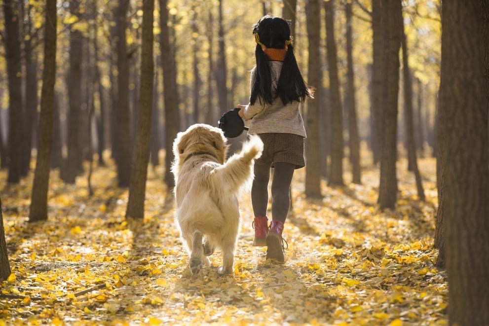 little-girl-running-with-dog little-girl-running-with-dog