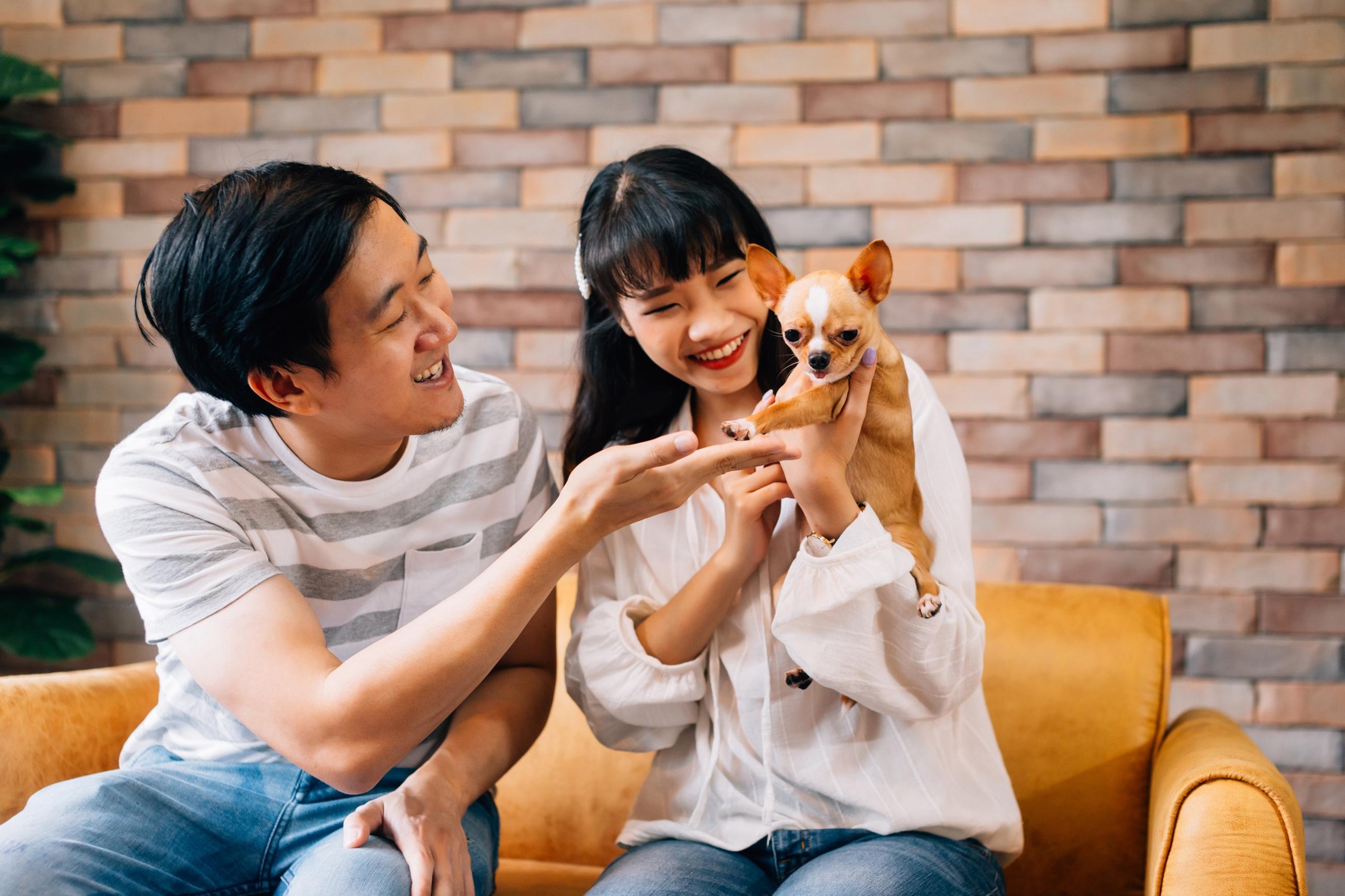 AdobeStock_286072402_0 AdobeStock_286072402_0