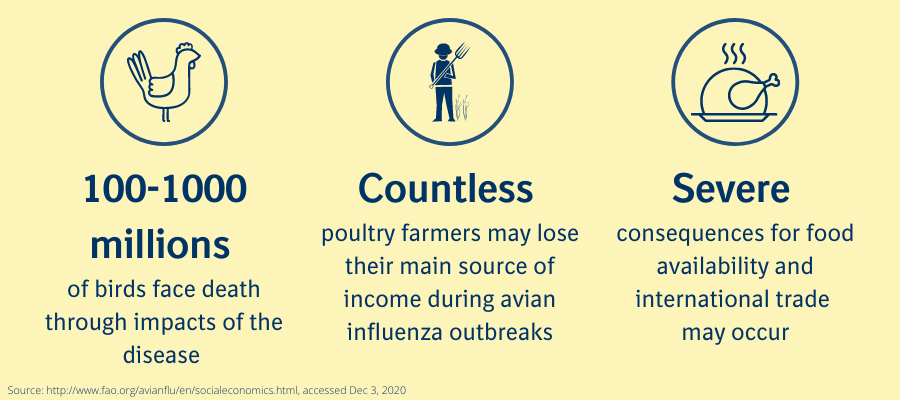 Consequences of Avian Influenza Consequences of Avian Influenza