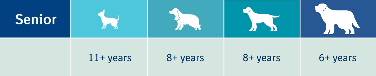 Life stages senior dog Life stages senior dog