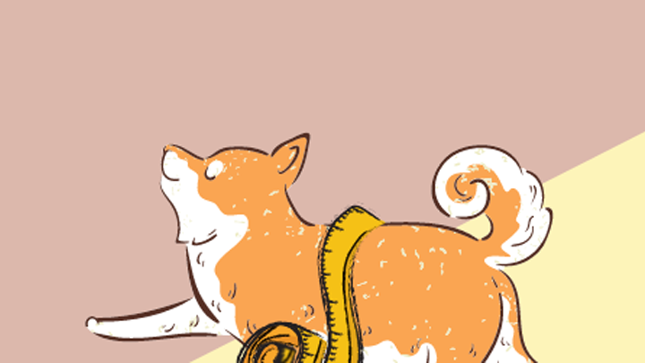 ObesityCats3 ObesityCats3