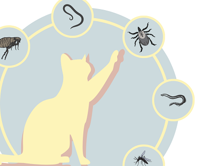 Parasitology pic Parasitology pic