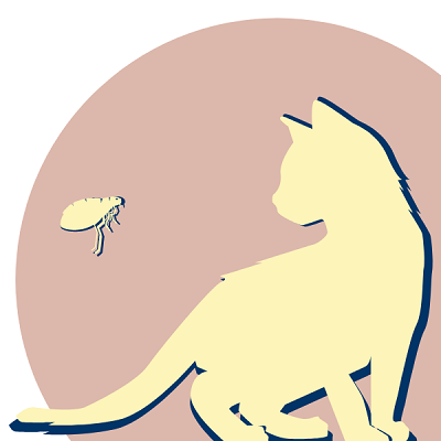 Parasitology pic 2 Parasitology pic 2