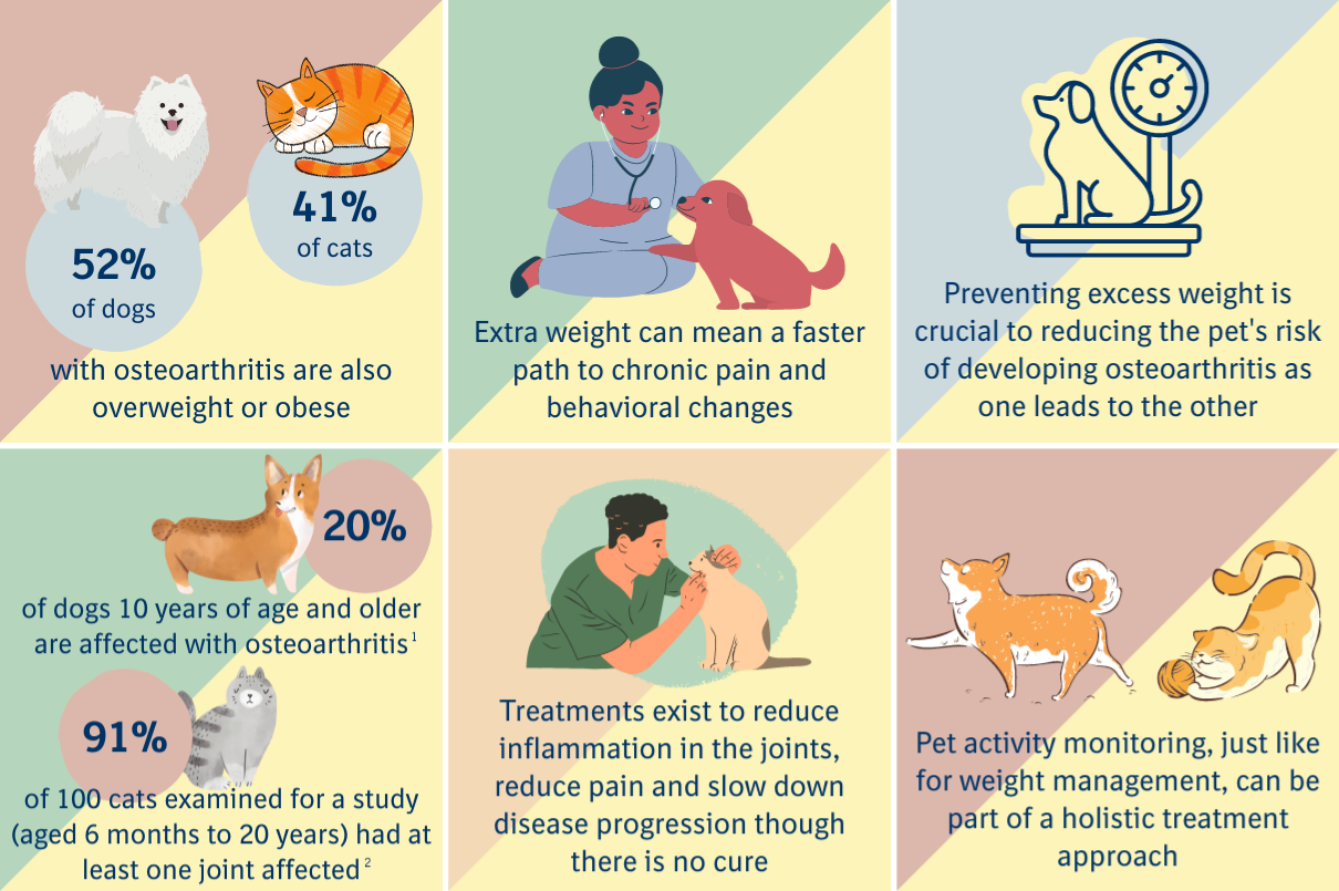 Pet obesity infographic complete NEW with references_0 Pet obesity infographic complete NEW with references_0