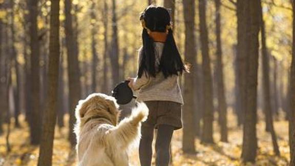 Rabies Awareness 秋日樹林里的小女孩和狗