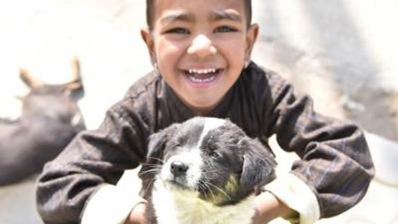 Rabies Awareness_Info Hub_Boy with Dog Rabies Awareness_Info Hub_Boy with Dog