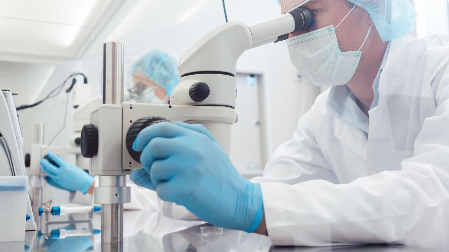 Scientist in the lab Scientist in the lab