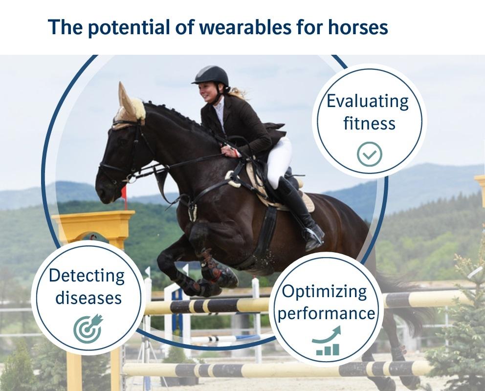 The potential of wearables for horses The potential of wearables for horses