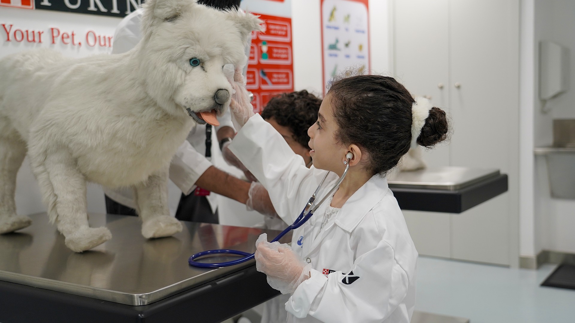 educate children on pet care educate children on pet care