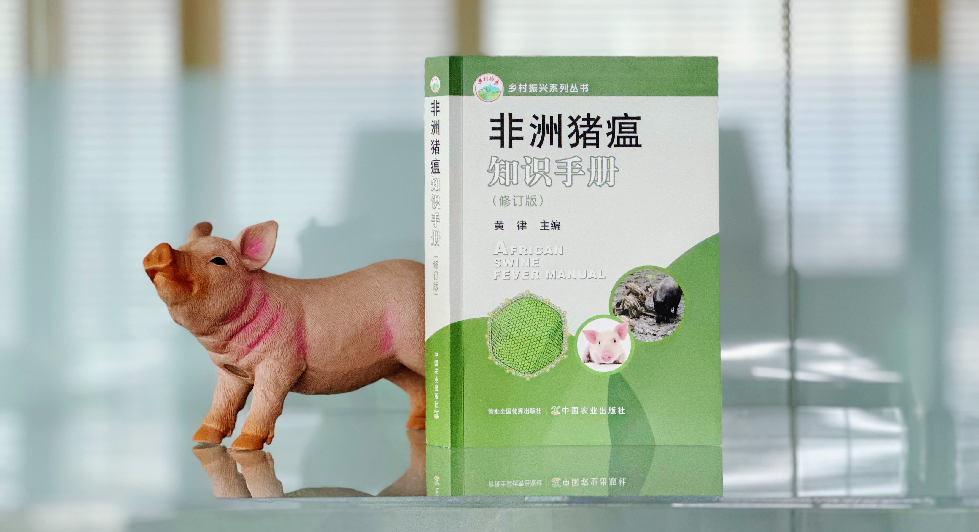 知識手冊