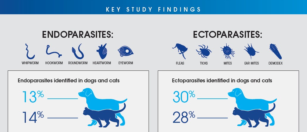 Key Study Findings (1)_2
